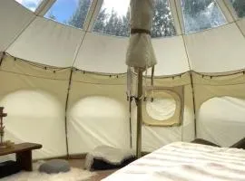 Cozy Glamping Tent with Sauna