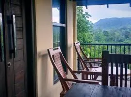 Rainforest Hide View