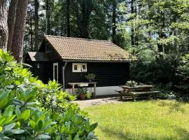 Kleine huisje op de Veluwe