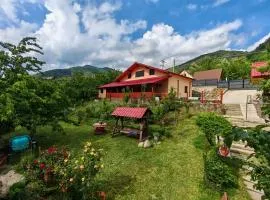 Casa Alina