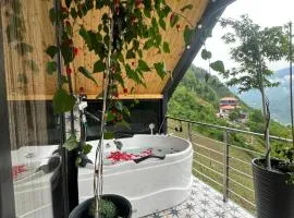 შალე მაჭახელა chalet machakhela