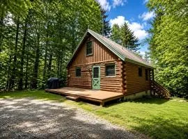 Pet-Friendly Waterfront Cabin on Wilson Pond, Maine
