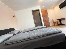 Danilo Room 1