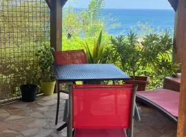 Villa Shoelcher, joli T2 a 3 min de la mer à pied, avec piscine