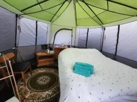 BEE HIVE tent is available with shared bathroom