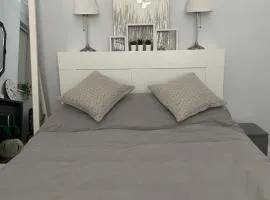 Spacious Double Studio-style room