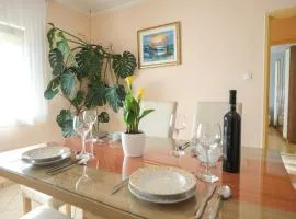 Apartment Dragica