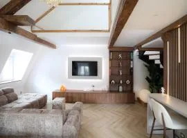 Loft duplex 2ch Cœur historique de Belfort