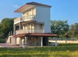 Olive Tree Villa