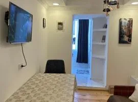 Mestia Central Apartment