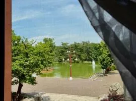 Vista Lago