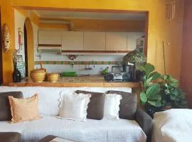 Surf Spot House