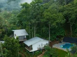 Wild Stories Resort, Munnar