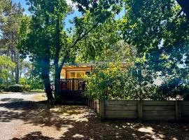 Mobile home in 4-star campsite
