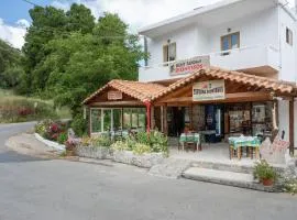 Dionysus House