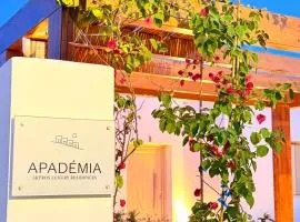 Apademia Comfort Studio 65sqm