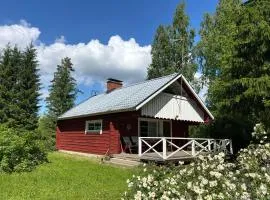 Villa Metsätähti Punkaharjulla