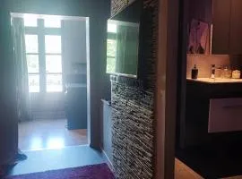 Appartement tout confort avec balnéo et lit king size