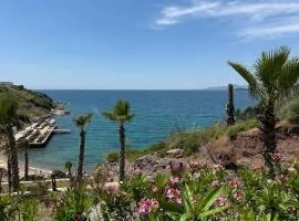 Beachfront Villa with private beach and pool