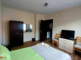 Villa Ribarica