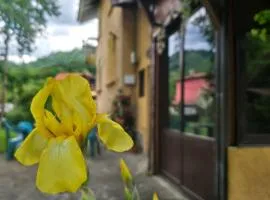 Villa Ribarica