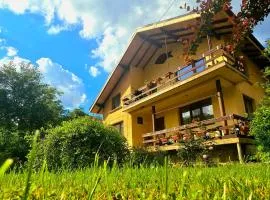 Villa Ribarica