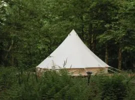 Luxury Glamping in a Jungle Setting Along River Wiht AA, TUB, Hiking