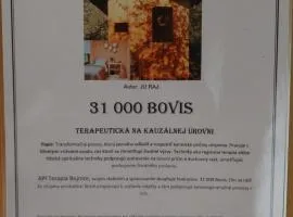 Api terapia Bojnice