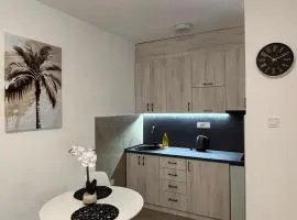 Aurea Novi apartman 1