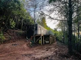 Domos el Avellano De los Pellines - Camino a Termas de Chillán