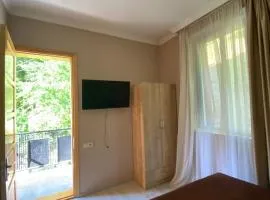 Tsikhisdziri rooms