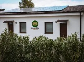 Öreg Fűz Apartman
