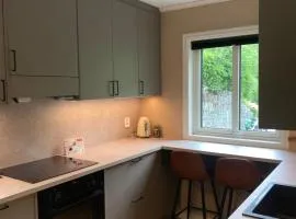 Spacious Trolltunga Apartment 1st floor, Good parking