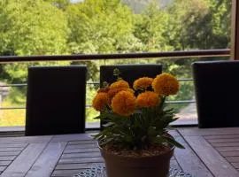Gîte auberge du canigou