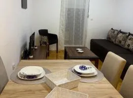 Apartman Davidović