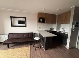 Arriendo departamentos nuevos condominio terraza mirador