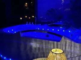 Appart vue Cité, balnéo privée, clim, jardin, parking gratuit