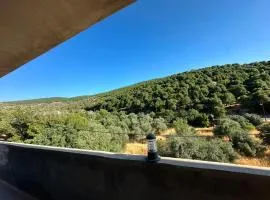 مطل محنا الجبلي