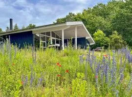 Holiday Home Skovsangervej Knebel X