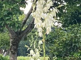 悠の宿