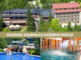 Hotel Sepetná