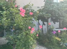 Hostel Struga