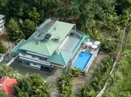 BIKI'S PALM VILLA