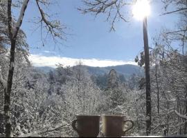 Pet-Friendly Mountain Heaven - Hot Tub and Fire Pit, hotel a Blue Ridge