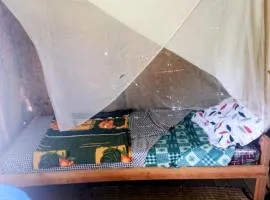 Sunshine Homestay Experience Bunyonyi
