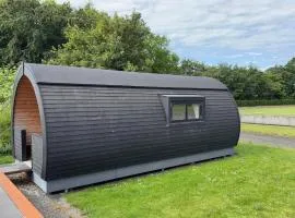 Cozy Home In Skjern