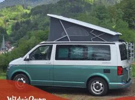 Wildnis-Camp Schwarzwald