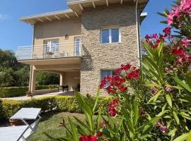 Pratelli B&B