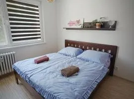 Spacious 3-room apartment, close to the center, station