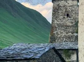 Nizharadze's Tower